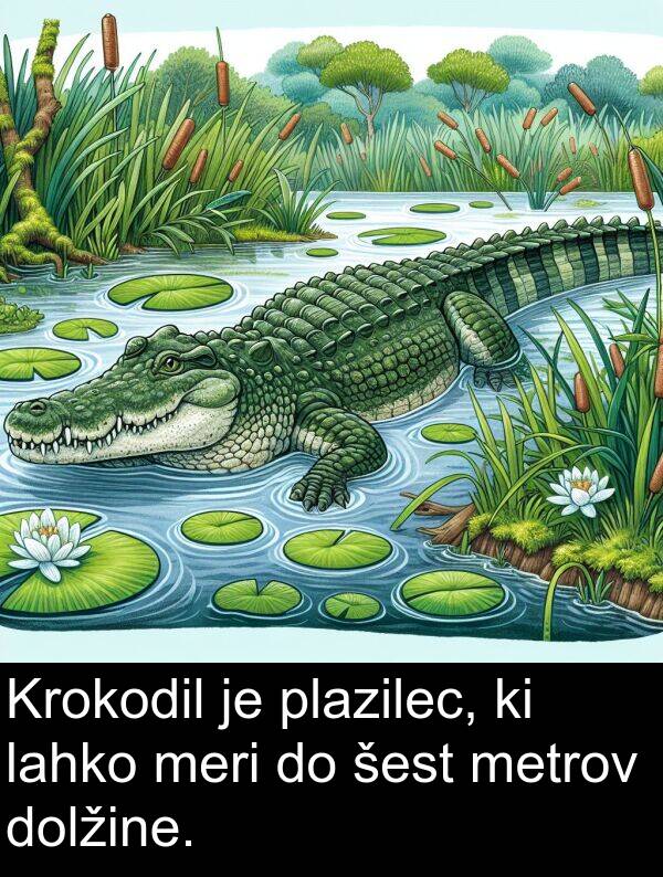 šest: Krokodil je plazilec, ki lahko meri do šest metrov dolžine.