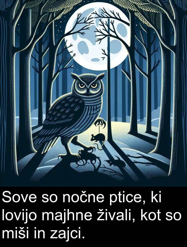 majhne: Sove so nočne ptice, ki lovijo majhne živali, kot so miši in zajci.