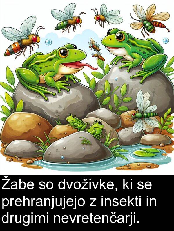 nevretenčarji: Žabe so dvoživke, ki se prehranjujejo z insekti in drugimi nevretenčarji.