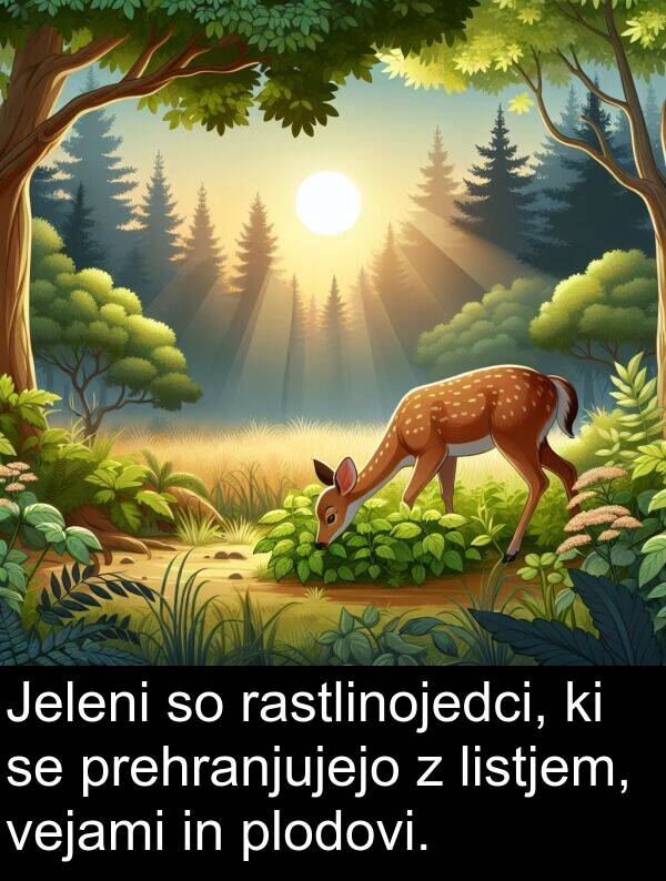 rastlinojedci: Jeleni so rastlinojedci, ki se prehranjujejo z listjem, vejami in plodovi.
