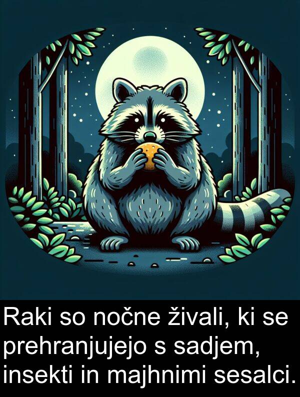 majhnimi: Raki so nočne živali, ki se prehranjujejo s sadjem, insekti in majhnimi sesalci.
