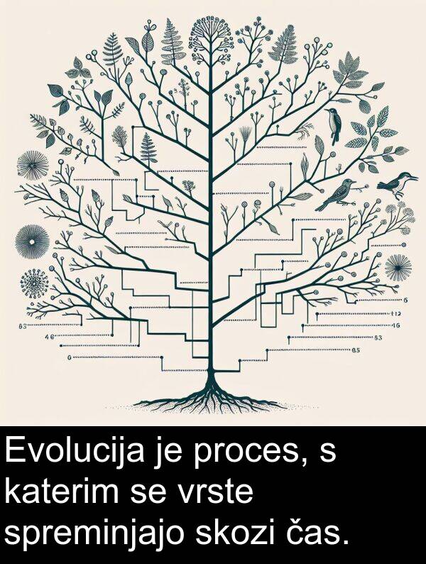 čas: Evolucija je proces, s katerim se vrste spreminjajo skozi čas.