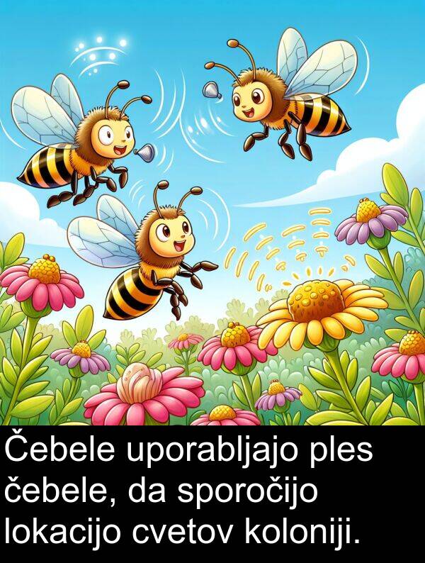 čebele: Čebele uporabljajo ples čebele, da sporočijo lokacijo cvetov koloniji.