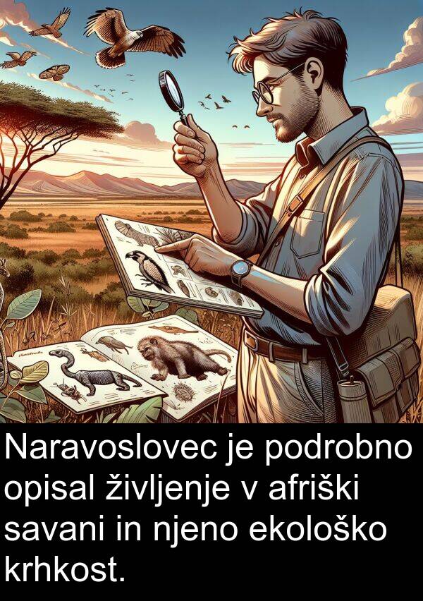 ekološko: Naravoslovec je podrobno opisal življenje v afriški savani in njeno ekološko krhkost.