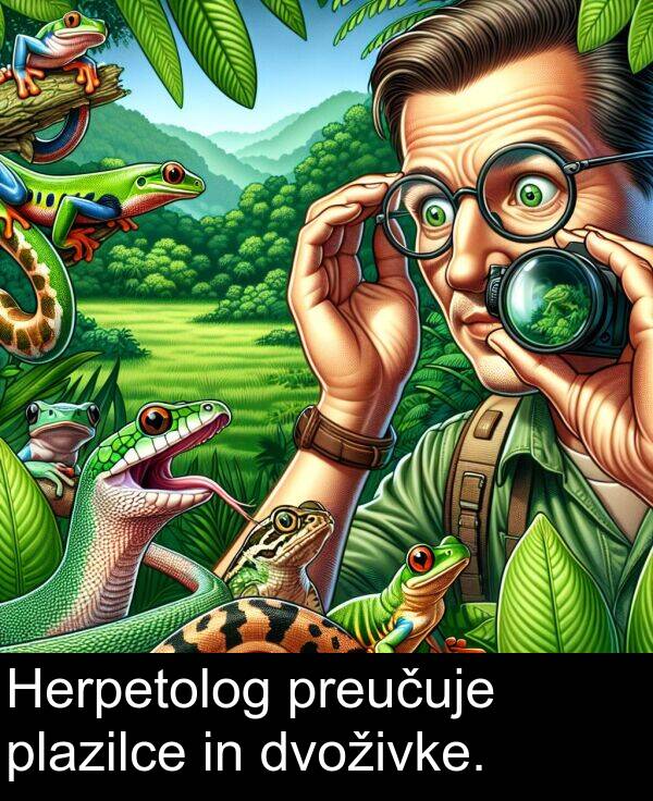 plazilce: Herpetolog preučuje plazilce in dvoživke.