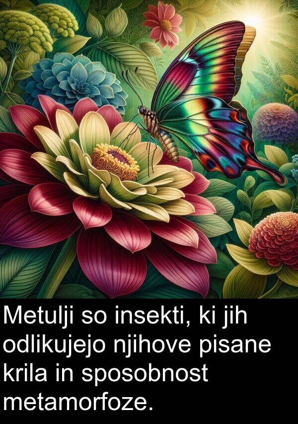 krila: Metulji so insekti, ki jih odlikujejo njihove pisane krila in sposobnost metamorfoze.