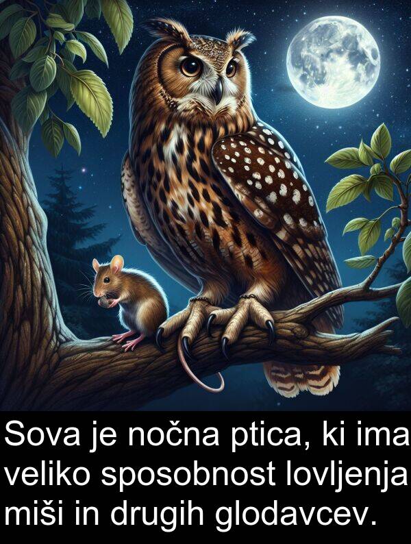 sposobnost: Sova je nočna ptica, ki ima veliko sposobnost lovljenja miši in drugih glodavcev.