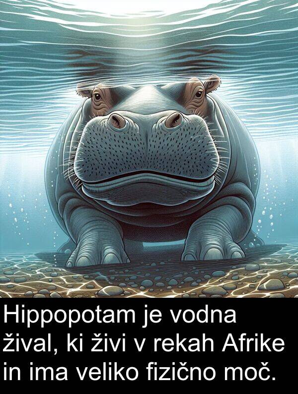 živi: Hippopotam je vodna žival, ki živi v rekah Afrike in ima veliko fizično moč.