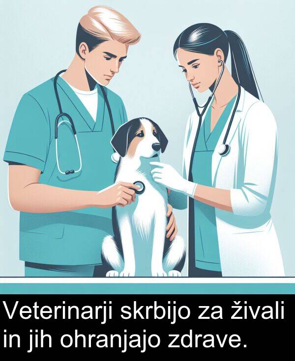 jih: Veterinarji skrbijo za živali in jih ohranjajo zdrave.