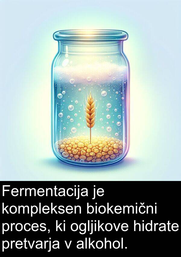 alkohol: Fermentacija je kompleksen biokemični proces, ki ogljikove hidrate pretvarja v alkohol.