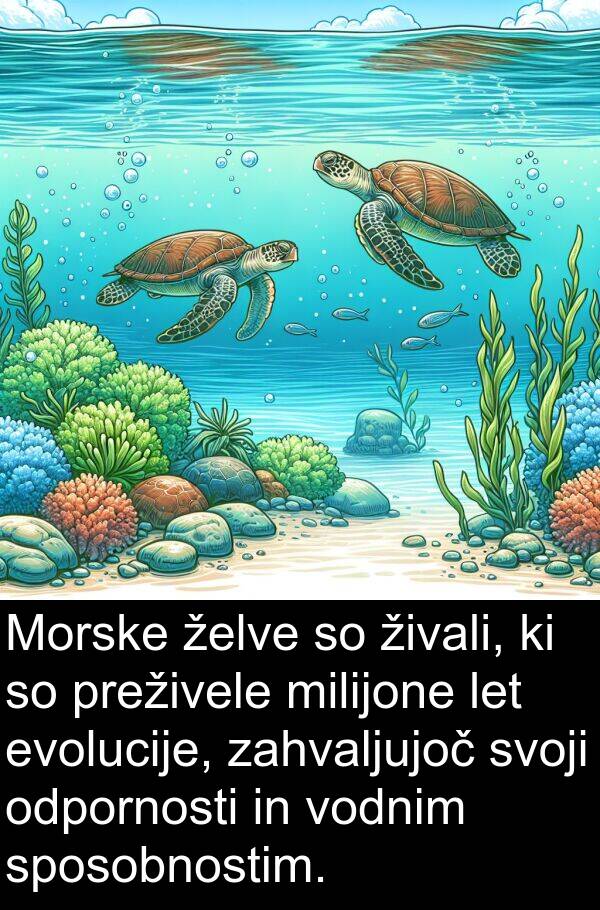 želve: Morske želve so živali, ki so preživele milijone let evolucije, zahvaljujoč svoji odpornosti in vodnim sposobnostim.