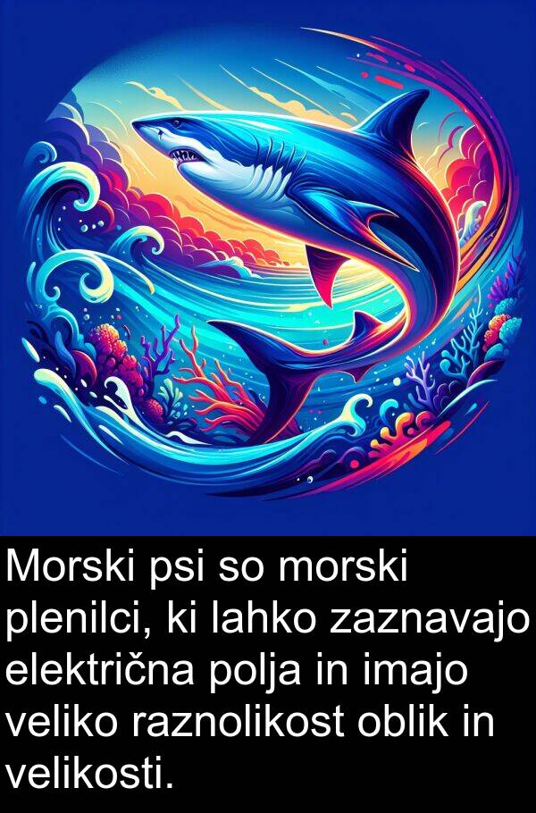 električna: Morski psi so morski plenilci, ki lahko zaznavajo električna polja in imajo veliko raznolikost oblik in velikosti.