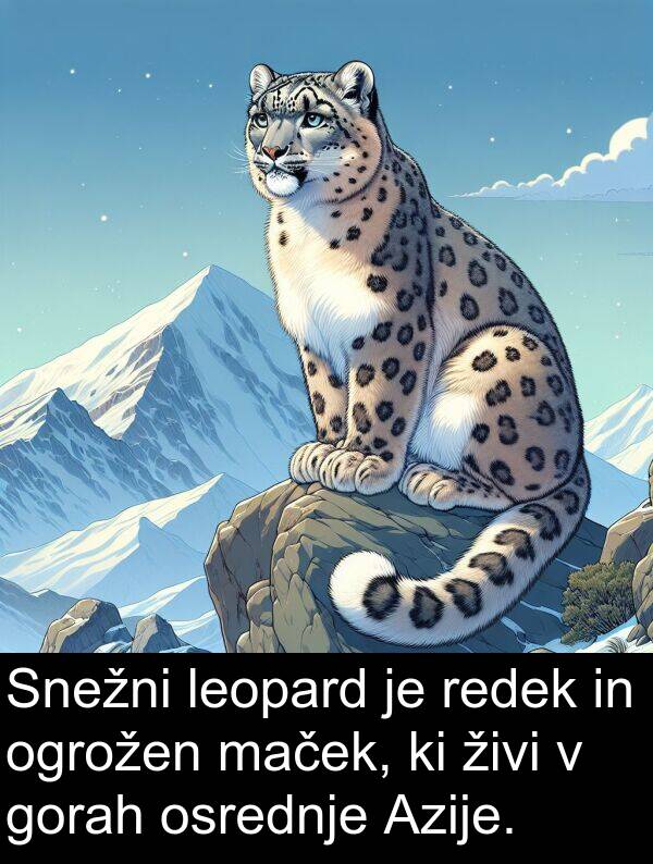 živi: Snežni leopard je redek in ogrožen maček, ki živi v gorah osrednje Azije.