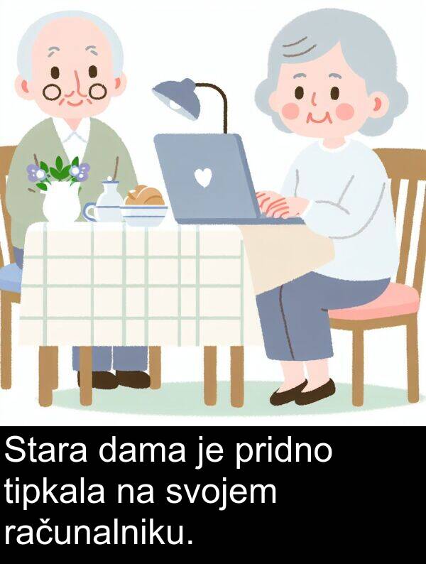 računalniku: Stara dama je pridno tipkala na svojem računalniku.