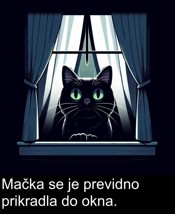 prikradla: Mačka se je previdno prikradla do okna.