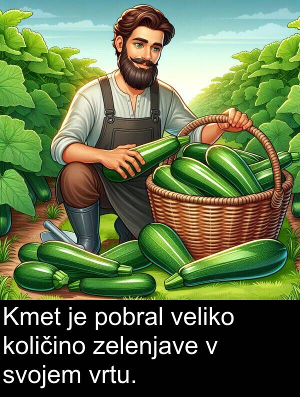vrtu: Kmet je pobral veliko količino zelenjave v svojem vrtu.