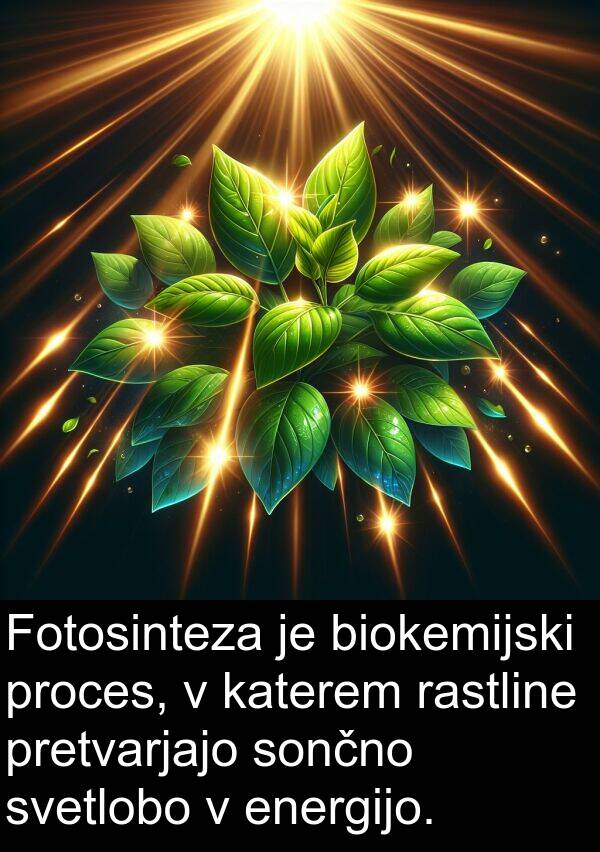 rastline: Fotosinteza je biokemijski proces, v katerem rastline pretvarjajo sončno svetlobo v energijo.