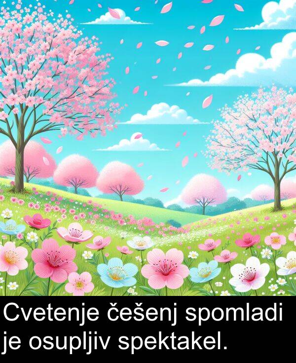češenj: Cvetenje češenj spomladi je osupljiv spektakel.