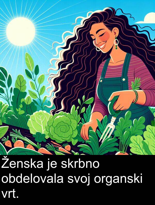 obdelovala: Ženska je skrbno obdelovala svoj organski vrt.