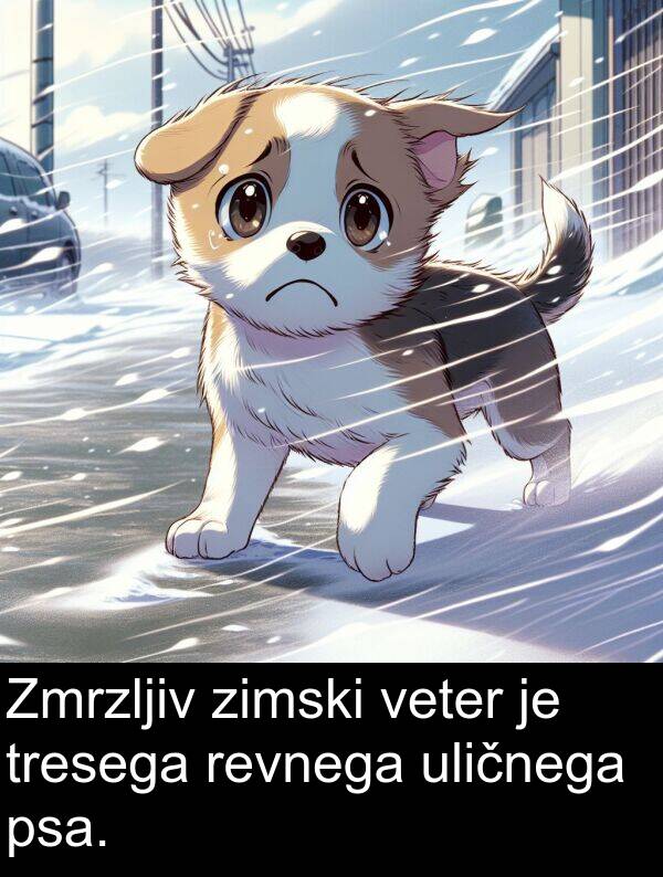 veter: Zmrzljiv zimski veter je tresega revnega uličnega psa.