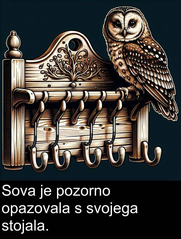 opazovala: Sova je pozorno opazovala s svojega stojala.