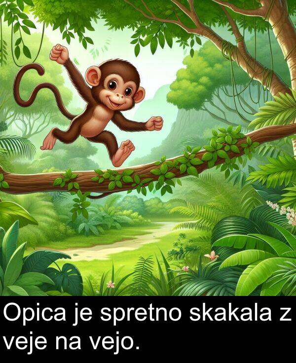 spretno: Opica je spretno skakala z veje na vejo.