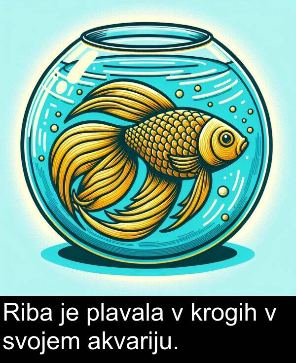 plavala: Riba je plavala v krogih v svojem akvariju.