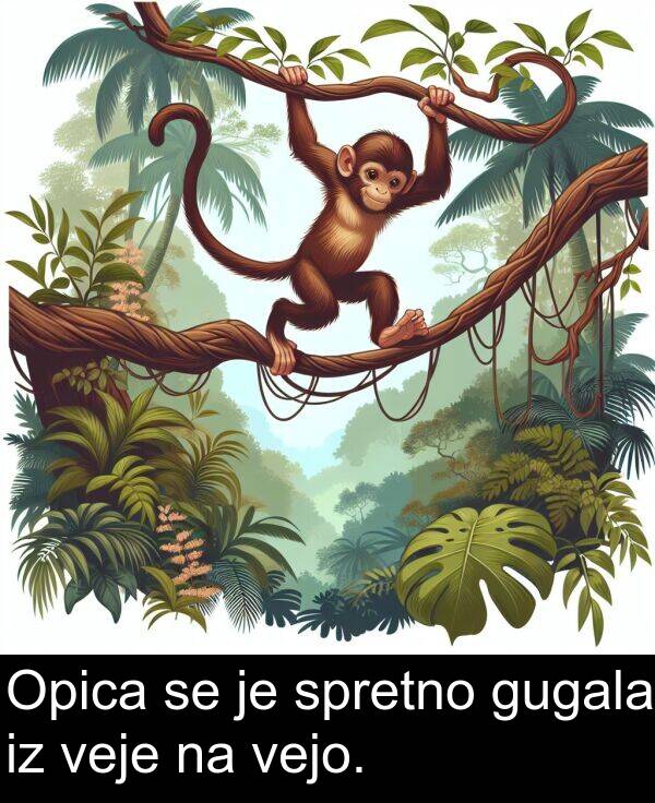 spretno: Opica se je spretno gugala iz veje na vejo.