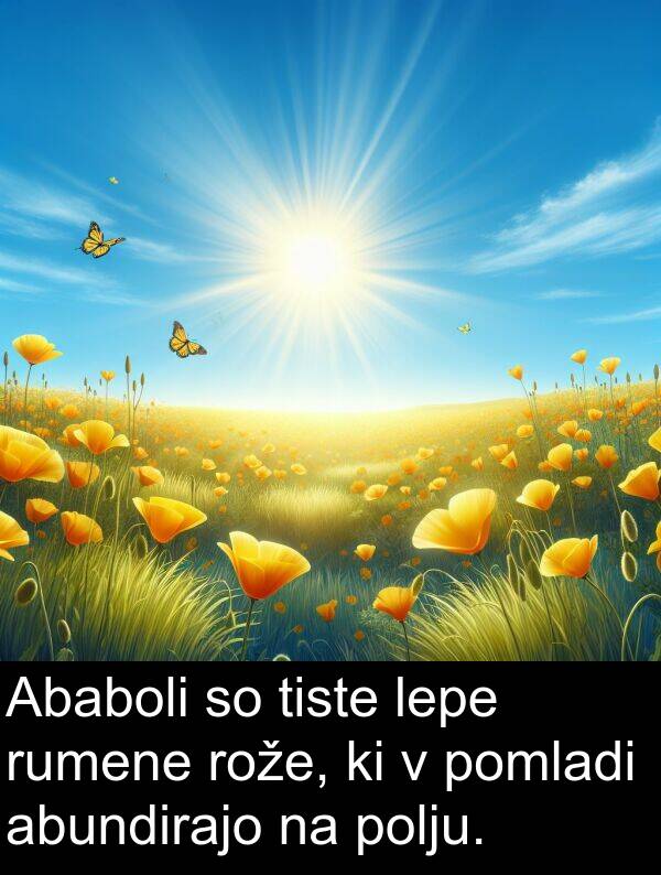 lepe: Ababoli so tiste lepe rumene rože, ki v pomladi abundirajo na polju.