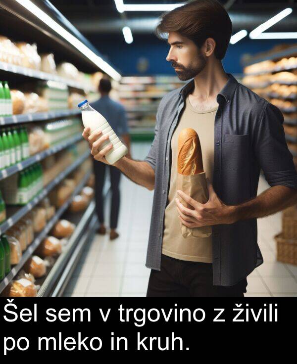 živili: Šel sem v trgovino z živili po mleko in kruh.