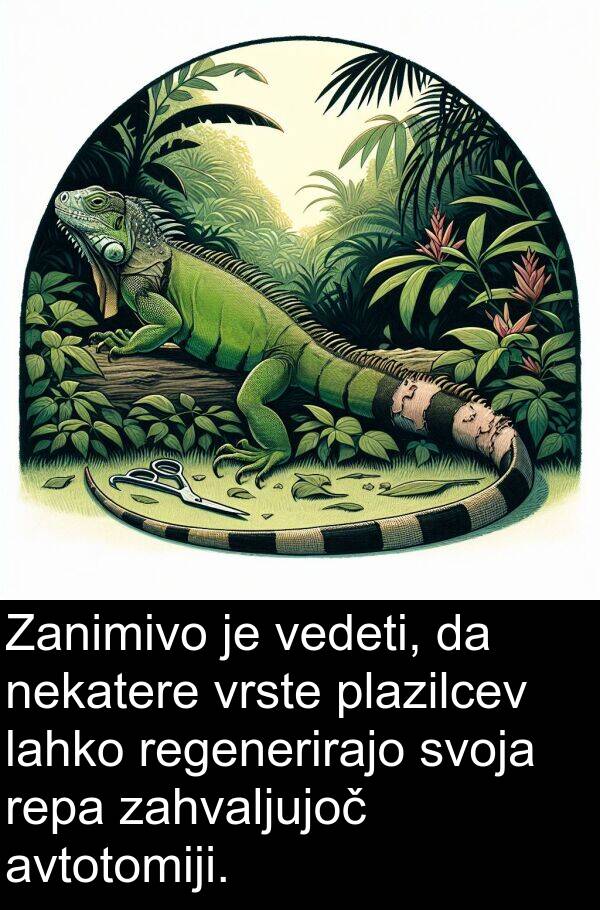 regenerirajo: Zanimivo je vedeti, da nekatere vrste plazilcev lahko regenerirajo svoja repa zahvaljujoč avtotomiji.
