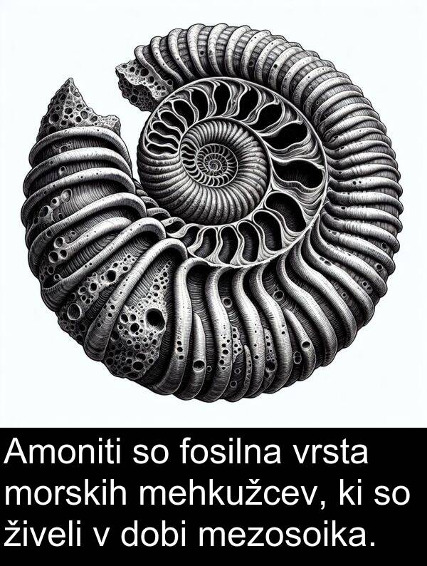 živeli: Amoniti so fosilna vrsta morskih mehkužcev, ki so živeli v dobi mezosoika.