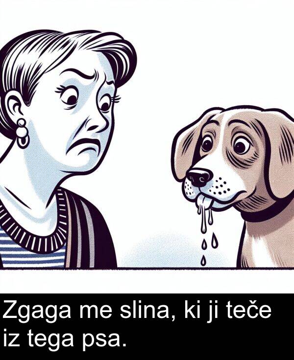 slina: Zgaga me slina, ki ji teče iz tega psa.