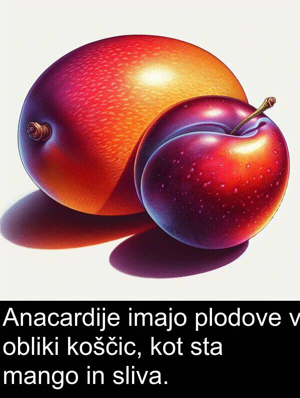 mango: Anacardije imajo plodove v obliki koščic, kot sta mango in sliva.
