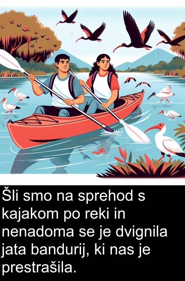 kajakom: Šli smo na sprehod s kajakom po reki in nenadoma se je dvignila jata bandurij, ki nas je prestrašila.