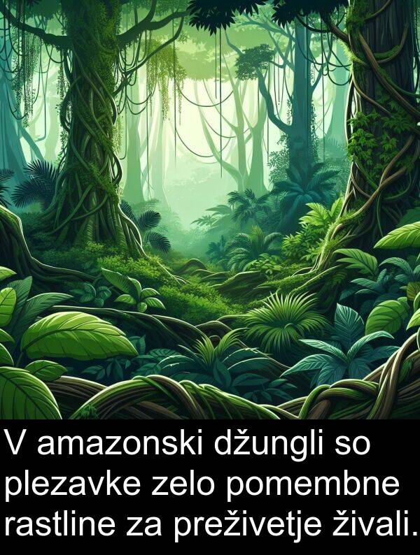 rastline: V amazonski džungli so plezavke zelo pomembne rastline za preživetje živali.