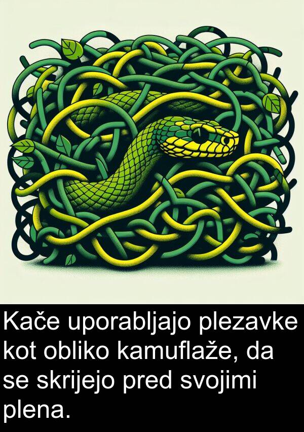 kamuflaže: Kače uporabljajo plezavke kot obliko kamuflaže, da se skrijejo pred svojimi plena.
