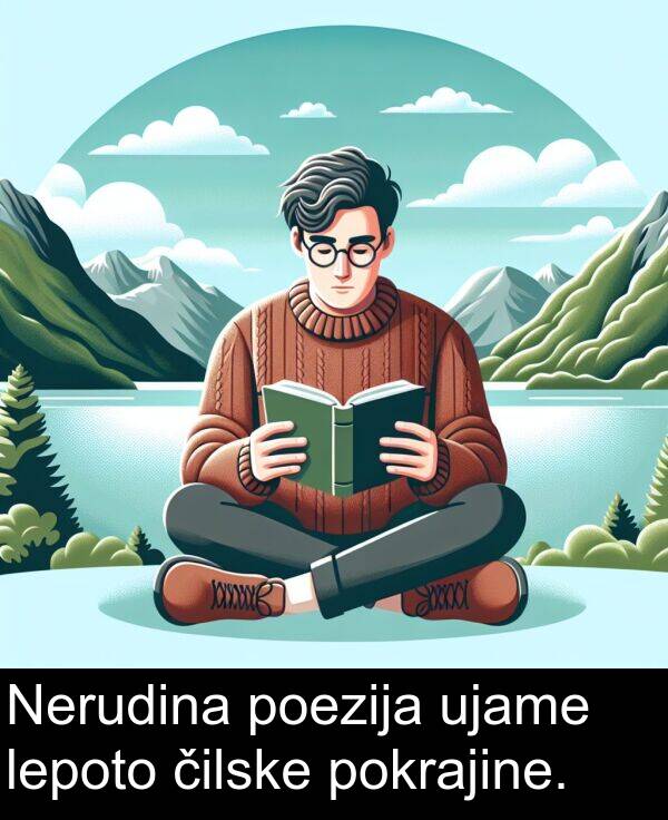 čilske: Nerudina poezija ujame lepoto čilske pokrajine.