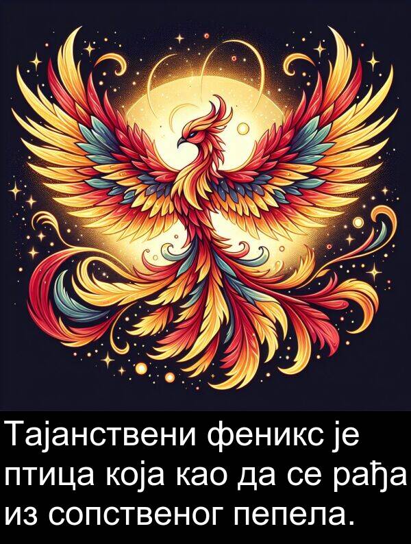 птица: Тајанствени феникс је птица која као да се рађа из сопственог пепела.
