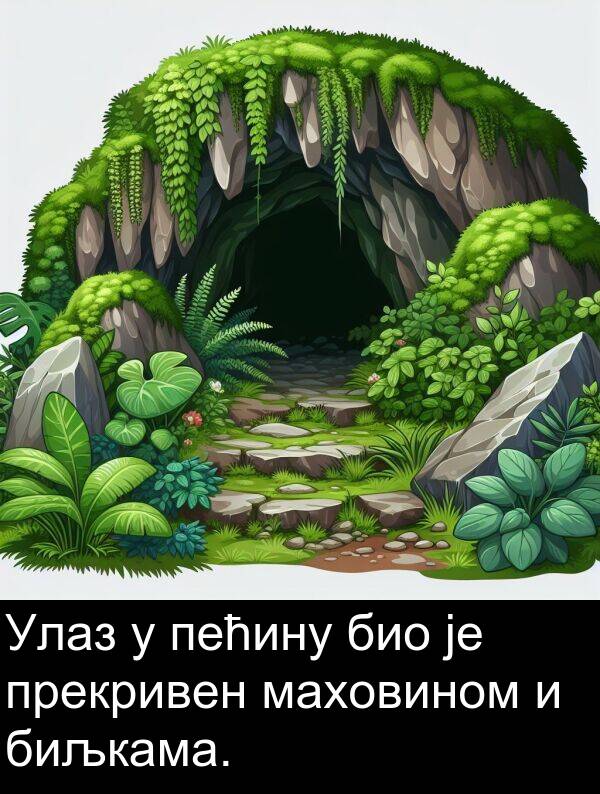 прекривен: Улаз у пећину био је прекривен маховином и биљкама.