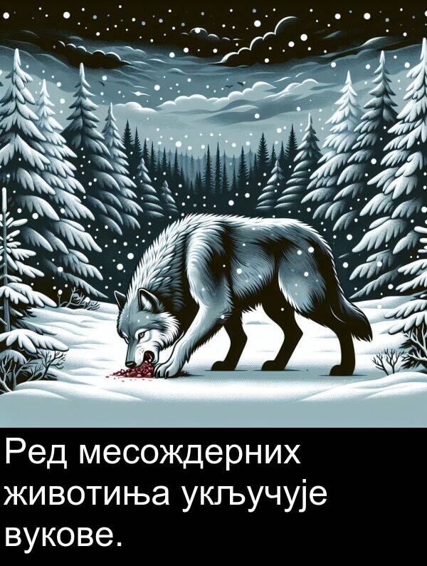 вукове: Ред месождерних животиња укључује вукове.