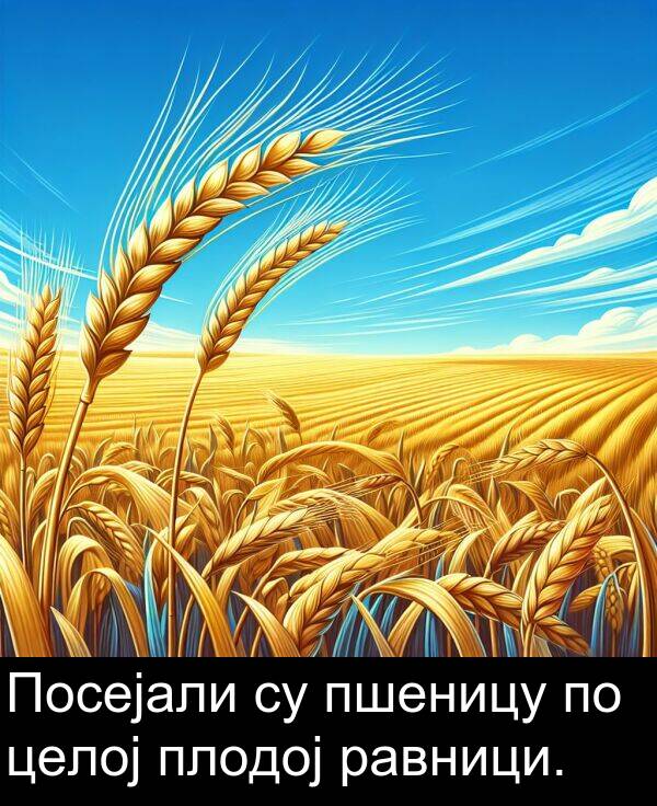 равници: Посејали су пшеницу по целој плодој равници.