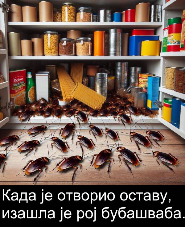 отворио: Када је отворио оставу, изашла је рој бубашваба.