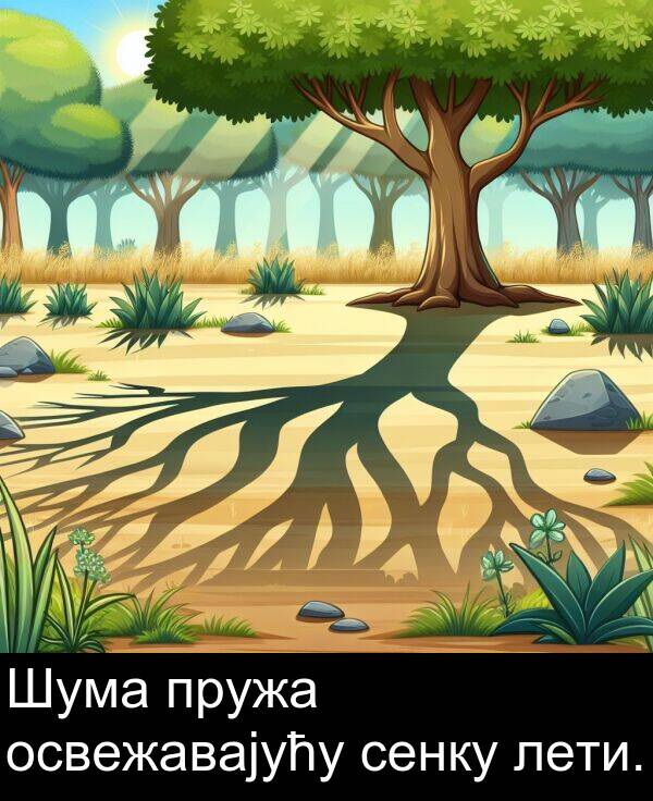 сенку: Шума пружа освежавајућу сенку лети.