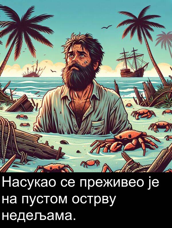недељама: Насукао се преживео је на пустом острву недељама.