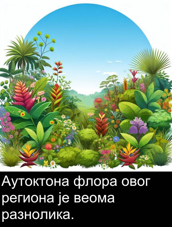 разнолика: Аутоктона флора овог региона је веома разнолика.