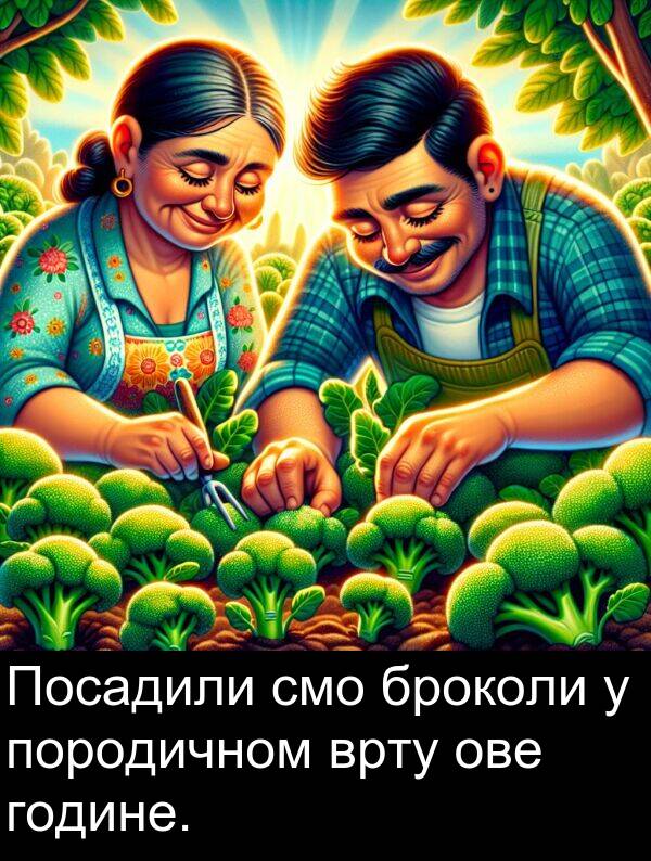 смо: Посадили смо броколи у породичном врту ове године.
