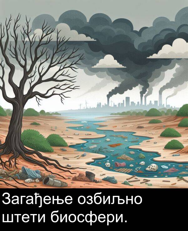 биосфери: Загађење озбиљно штети биосфери.