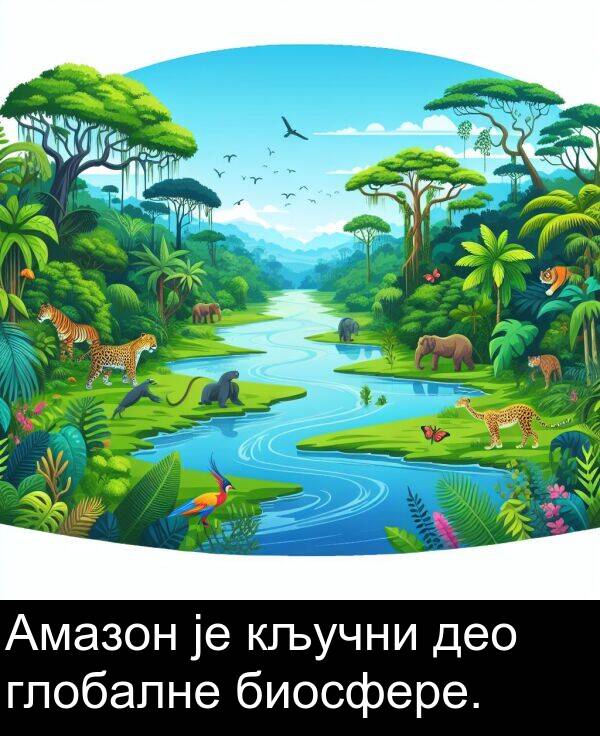 биосфере: Амазон је кључни део глобалне биосфере.