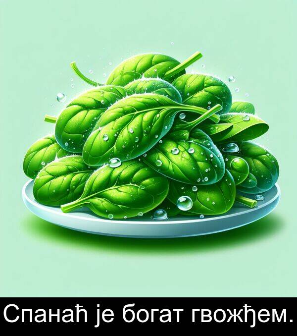 гвожђем: Спанаћ је богат гвожђем.